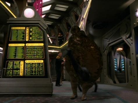 Tv and news star trek 12 last minute changes that saved. The Abandoned (episode) - Memory Alpha, the Star Trek Wiki