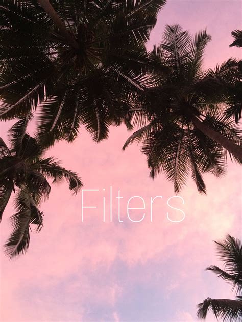 Pin By Haus Of Pins On Filters Palm Trees Cute Pictures Wallpaper