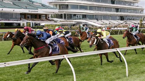 Melbourne Cup Crowds Vrc Submits Plan To Avoid Crowd Free Carnival Herald Sun