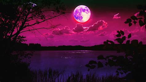 Moonlight Pink Moon Lake Nature Trees Purple Bonito Art Scenic