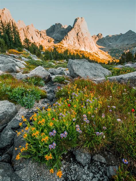 Spring In The Wind River Range Wy Oc 1536x2048 Music Indieartist