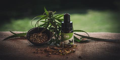Cbd is a powerful part of the hemp/cannabis plant, discover why. CBD-Öl: Ist die Einnahme erlaubt? - Fatwa Zentrum