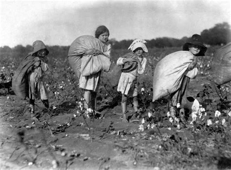 Child Labor C1910 Na Group Of Young Cotton Pickers In The American