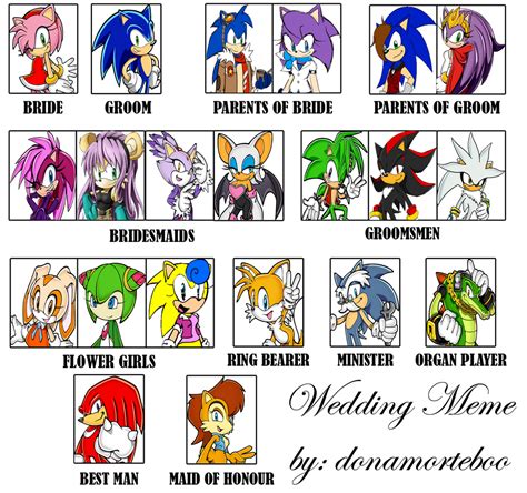Sonic X Amy Rose Wedding Meme By Donamorteboo On Deviantart