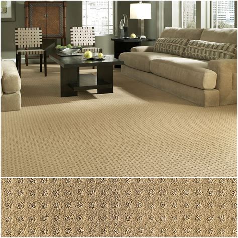 Mission Square Z6781 00223 Carpet Flooring Anderson Tuftex