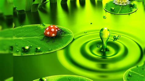 Google images (previously google image search) is a search engine owned by google that allows users to search the world wide web for images. Beautiful Natural Images For Your Desktop - The WoW Style