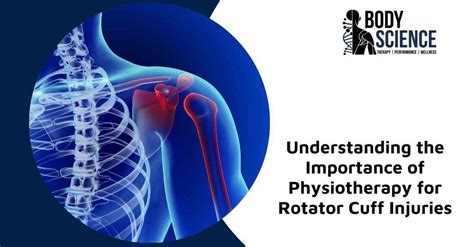 Understanding The Importance Of Physiotherapy For Rotator Cuff Injuries