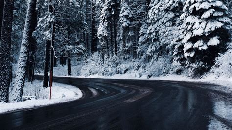 Road Between Snow Covered Trees During Winter Hd Nature Wallpapers Hd