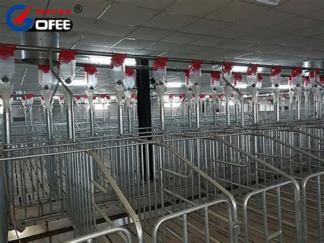 Pig Farm Pen System Hot Dip Galvanized Sow Cage Gestation Stall China