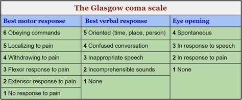 Gcs business group is a team of experts united by the same important goal: The Glasgow coma scale (GCS) in practice.