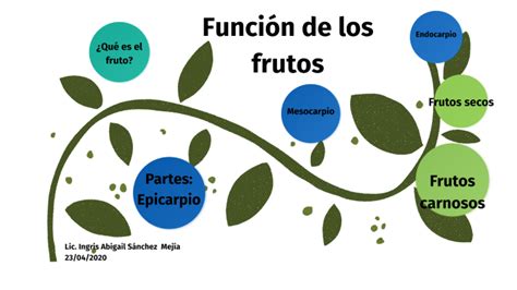 Función De Los Frutos By Ingris Sanchez