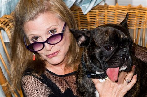 These Photos Of Carrie Fisher And Her Dog Gary Will Make You Feel