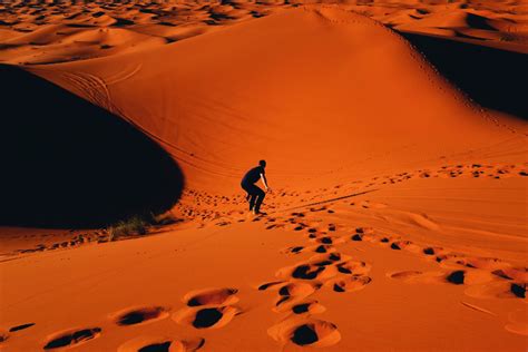7 Best Desert Safaris In Doha You Will Love To Do Tourscanner