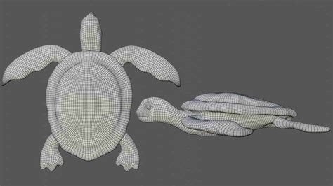 Turtle D Model Rigged And Low Poly Team D Yard