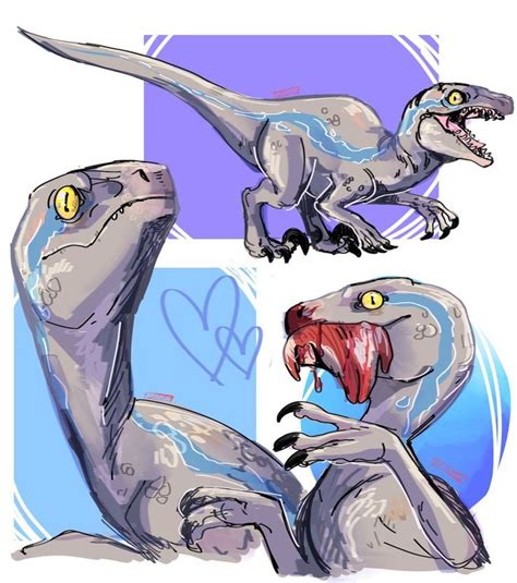 17 Best Images About Blue The Velociraptor On Pinterest Jurassic