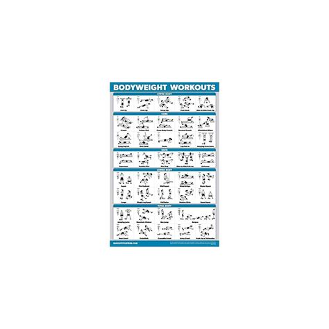 Buy Quickfit Bodyweight Workout Exercise Poster Body Weight Workout