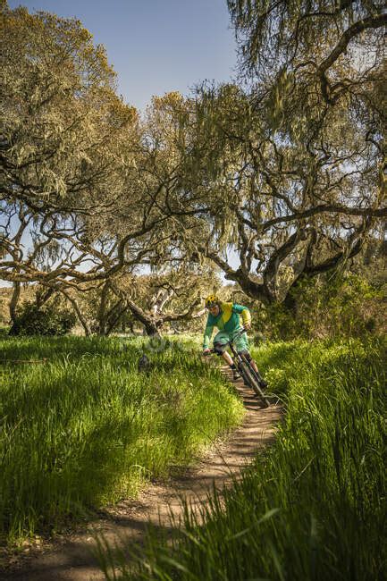 Man Riding Mountainbike On Forest Track Fort Ord National Monument
