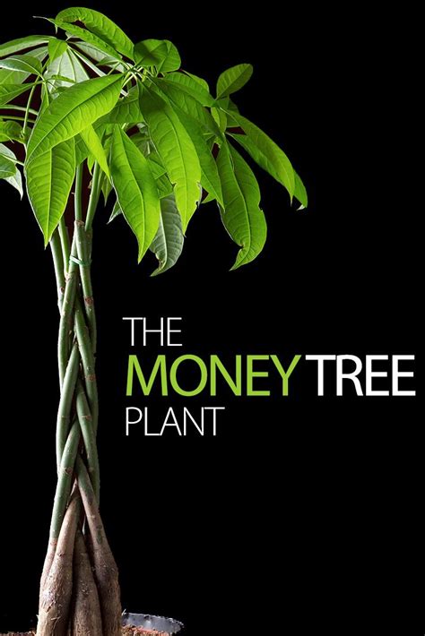 How to play coop with friends. Making the Most of Your Money Tree Plant | Money tree ...