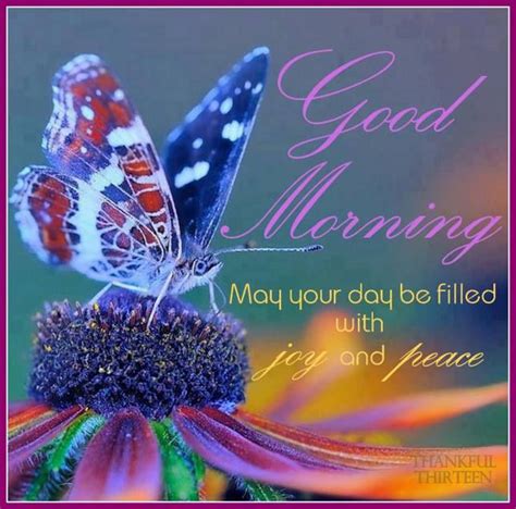 Good Morning May Your Day Be Filled With Joy And Peace Pictures Photos