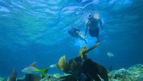 The 7 Best Snorkeling Tours In Key West 2022 Reviews World Guides