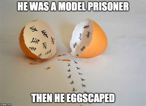 25 Very Funny Egg Memes Funny Eggs Funny Images Funny Pictures