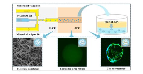 Bioactive Decellularized Extracellular Matrix Hydrogel Microspheres