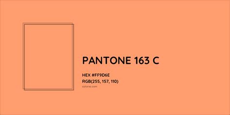 About Pantone 163 C Color Color Codes Similar Colors And Paints