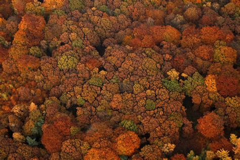 See The Breathtaking Colors Of Germany In Autumn Time