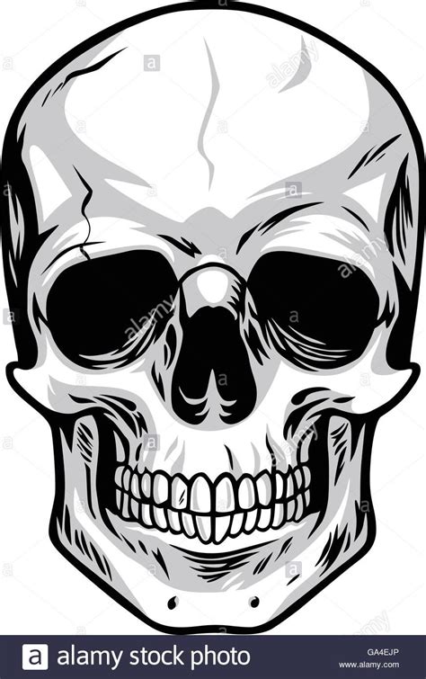 Easy Skull Drawings Skulls Drawing Bat Vector Vector Art Calaveras