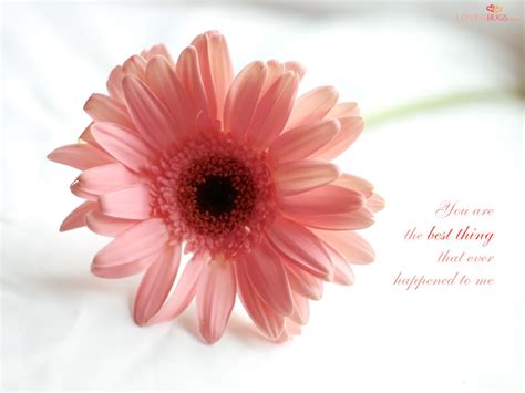If you're looking for the best love flower wallpaper then wallpapertag is the place to be. LOVE - Quotes and Wallpapers - The Wondrous Pics