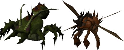 Each form has 255 hitpoints, and her ranged and magic attacks have 100% accuracy. Monster Database - Kalphite Queen - Global RuneScape