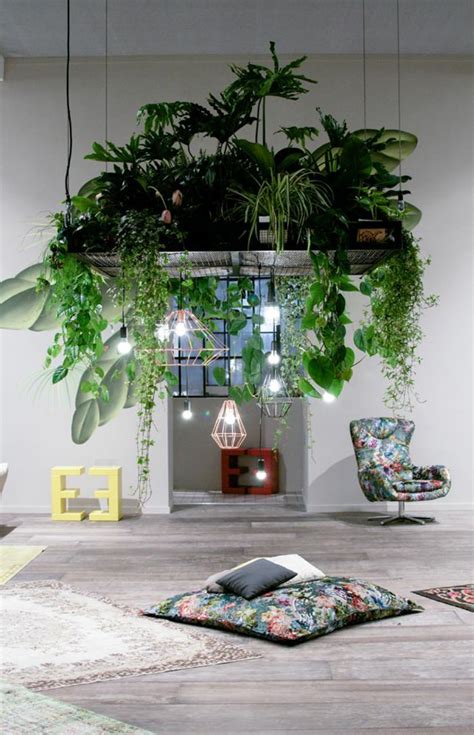 If you are hanging objects like photos or bulbs from the ceiling, secure two ends of a rope on either end of the. 99 Great Ideas to display Houseplants | Indoor Plants ...