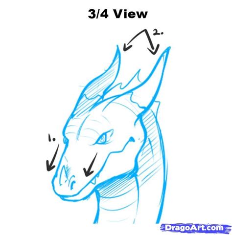 Dragon Head Drawing Front How To Draw Dragon Heads Step By Step