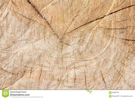 Slice Of Wood Timber Natural Background Stock Image Image Of History