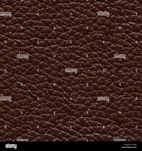 Stylish Brown Leather Background High Quality Leather Texture