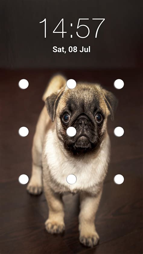 Puppy Dog Pattern Lock Screen For Android Apk Download