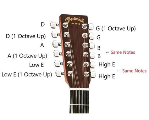 How Do 12 String Guitars Work Everything You Need To Know Guitarmeet