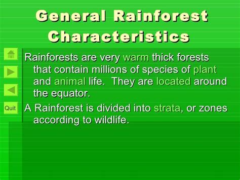 Tropical Rainforest Interactive Pp