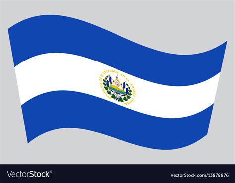 Flag Of El Salvador Waving On Gray Background Vector Image