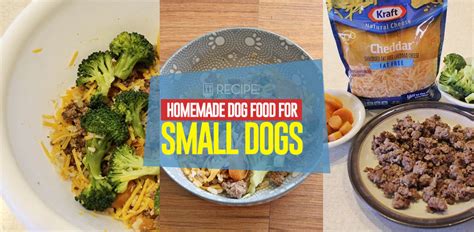 Homemade Dog Food For Small Dogs Recipe Cheap And Easy To Make