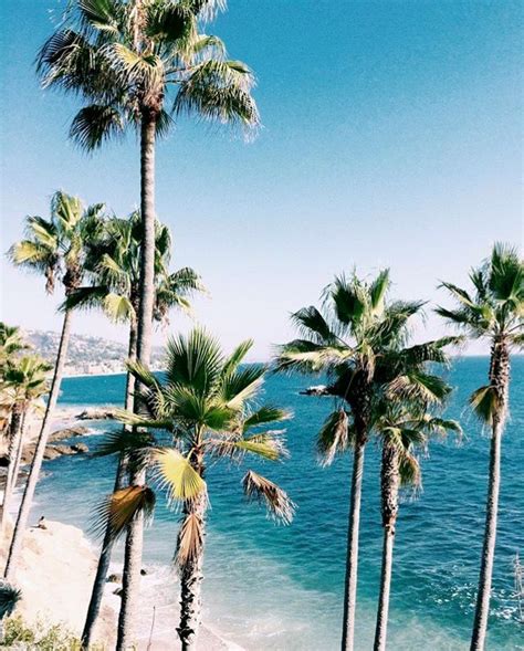 Pinterest Bellaxlovee ☾ Beach Life Summer Vibes Tumblr Background