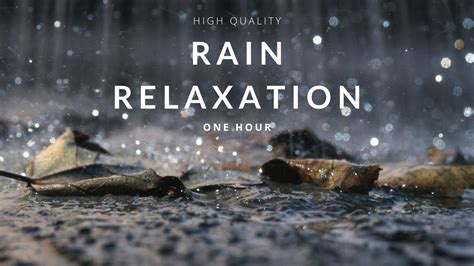 Thunder And Rain Relaxation 1 Hour High Quality Relaxing Sounds For
