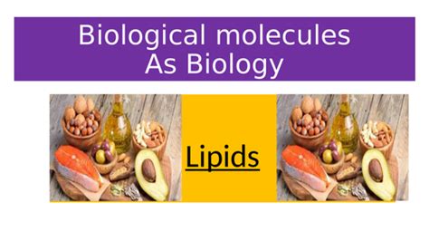 Biological Molecules Lipids Teaching Resources