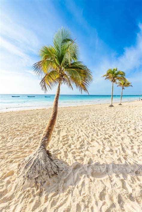 Paradise Beach Also Called Playa Paraiso At Sunrise Beautiful And Tropical Caribbean Coast Of