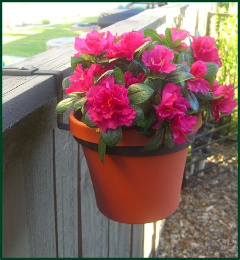 Install a woven or barbed wire fence; Metal Flower Pot Holders, Iron Fence Pot Holders | Hooks ...