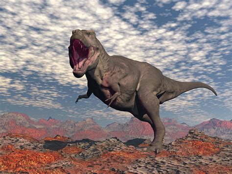 Tyrannosaurus Rex Roaring In The Red Photograph By Elena Duvernay Pixels