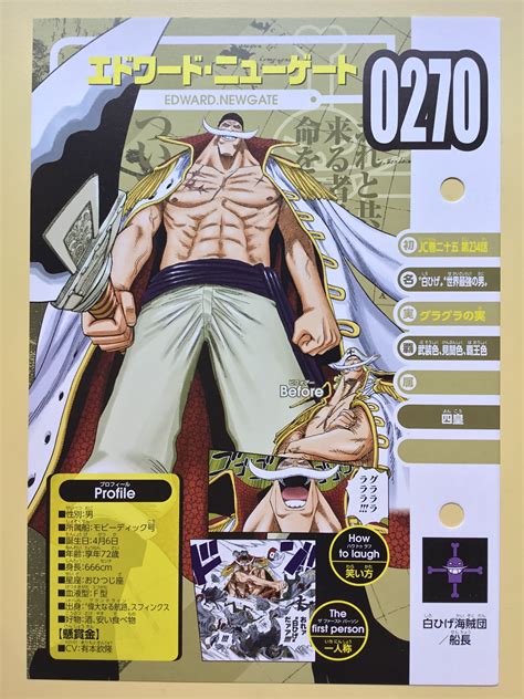 Vivre Card One Piece Visual Dictionary New One Piece Databook On Sale