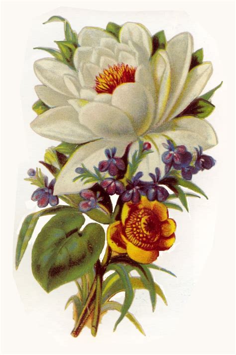 Artbyjean Paper Crafts Two Vintage Flower Prints