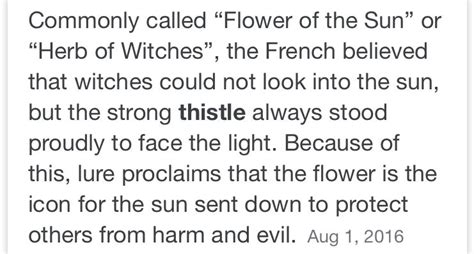 Pin By Zia Zingara On Season Of The Victorian Witch Witch Believe