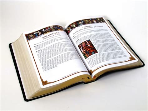 Catholic Scripture Study Bible Rsv Ce Large Print Black Cover